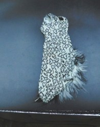 cher feathers good a